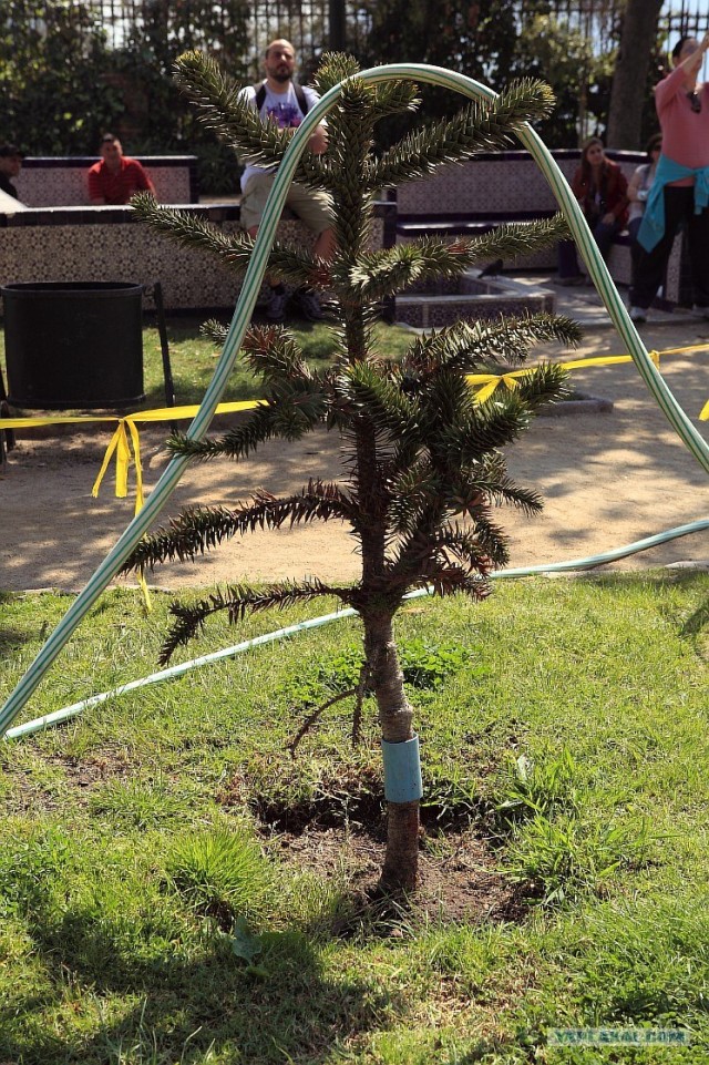 Южно-Американский дневник. Чили. сантьяго