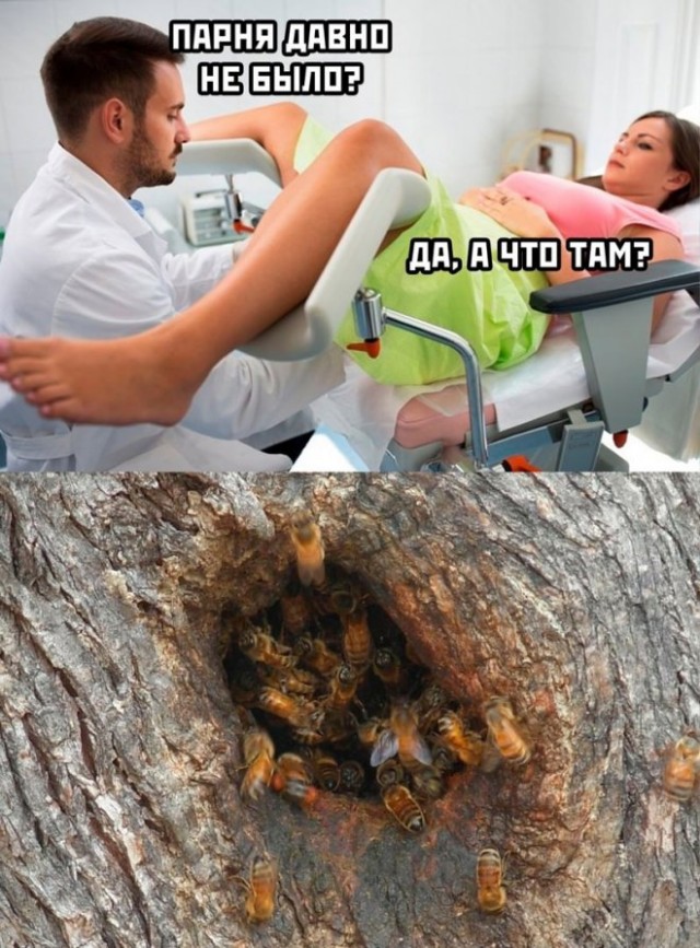 Так себе картинки 19.10.22