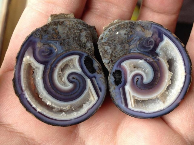 38 удивительных фото, поражающих воображение