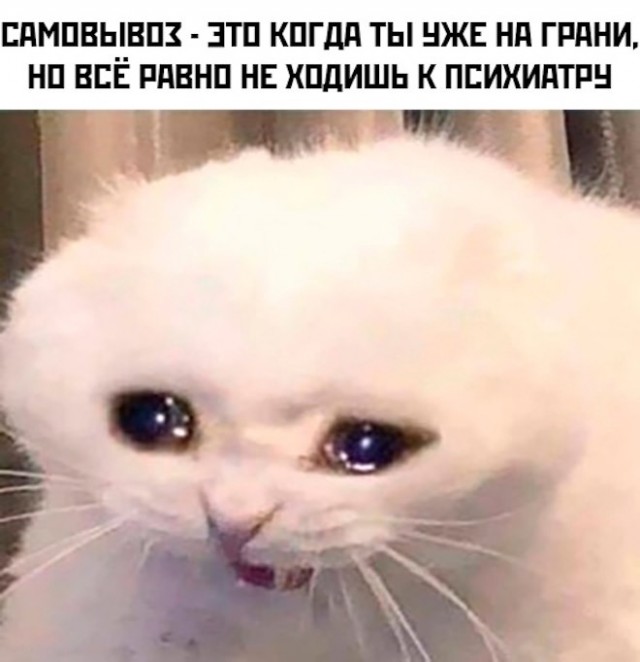 Немного картинок для настроения - 112