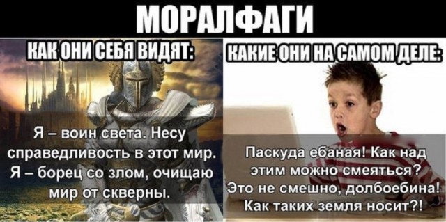 Это вам не инстаграмм (ноябрь 2022)