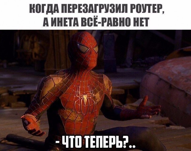 Весёлый полтишок 18.11.22