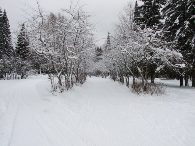 Космодром Плесецк