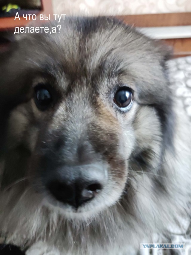 Ну, типа, с четвергом!