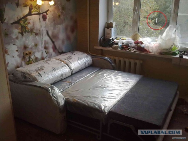 Ремонт своими руками