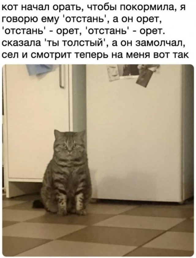 Немного картинок для настроения - 151
