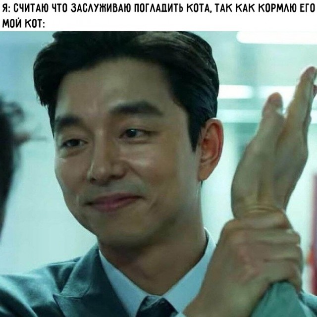 Картинки и мемы для настроения - 137