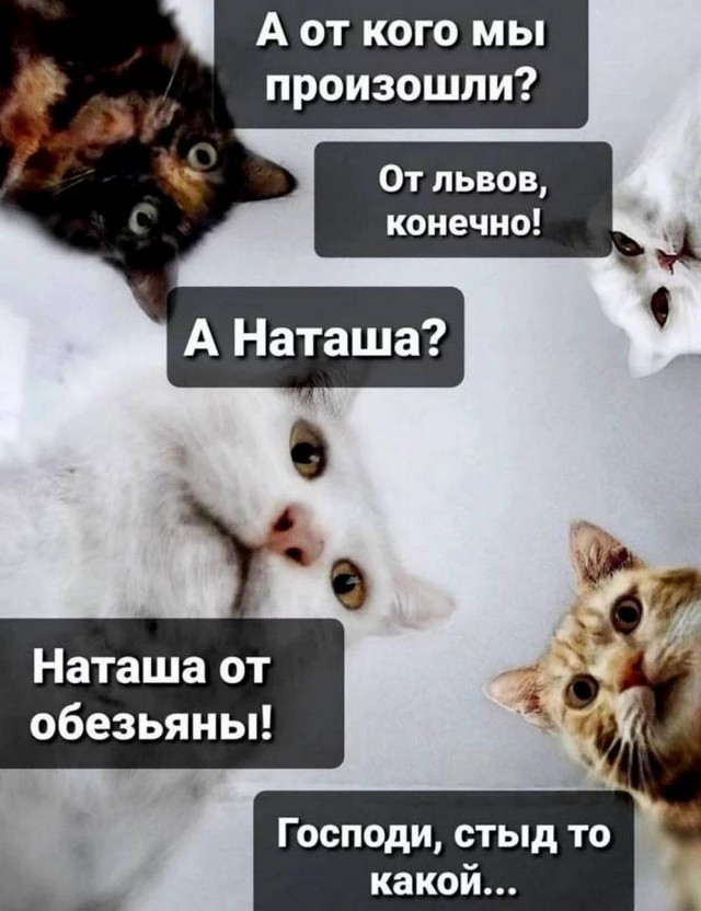 Прикольные и просто красивые картинки 27.06.2023