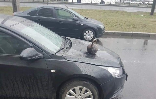 Инвалид на всю голову