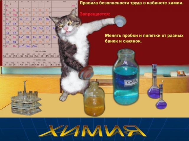 Химия и жизнь