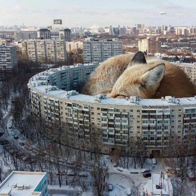 Так себе картинки 16.01.24