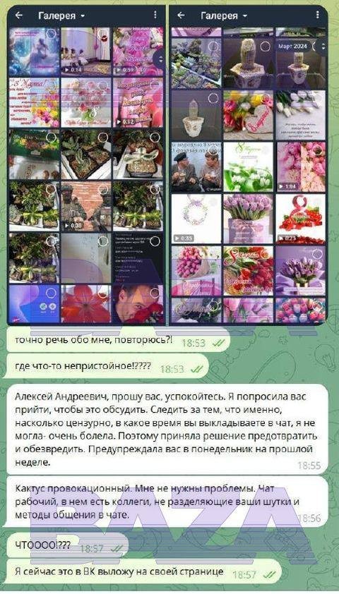 Преподаватель колледжа в Волгограде уволился из-за фоток своего кактуса в рабочем чате