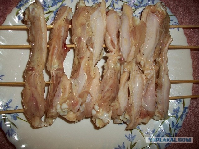 Крылинные курья
