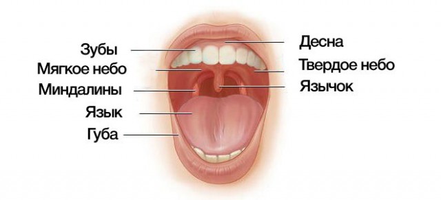 Лучше уже не будет