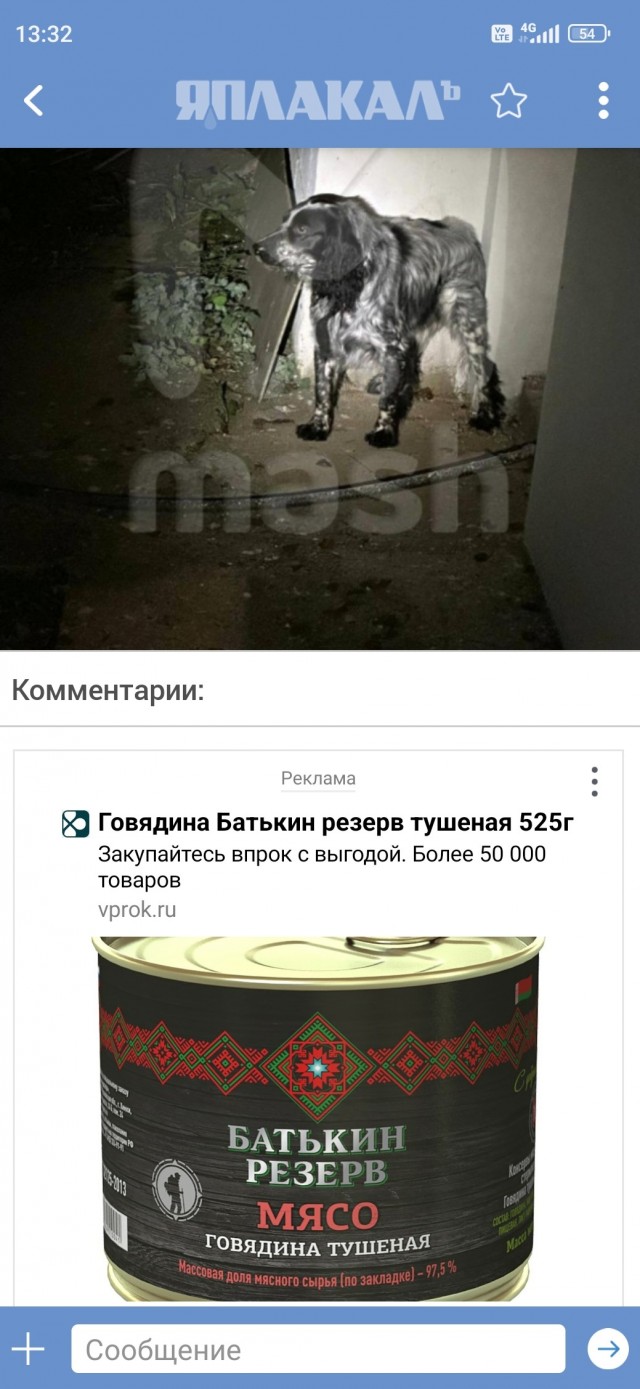 Собаку расcтрелянной семейной пары ищут по всем Мытищам — десятки зооволонтёров и неравнодушных людей