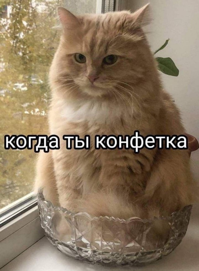 Прикольные и просто красивые картинки 16.05.2025