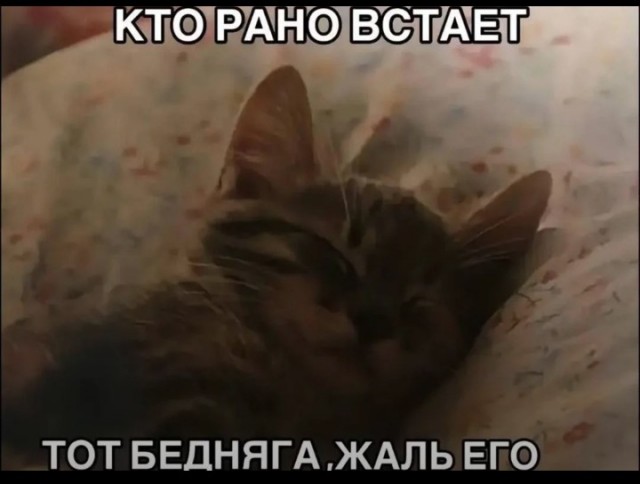 Еб**ины