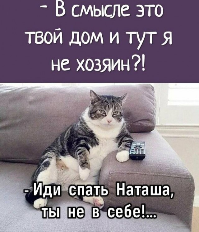 ТРРРидцать тРРРи от 22 мая