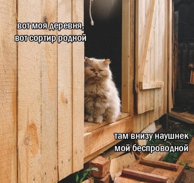 Так себе картинки 14.06.25