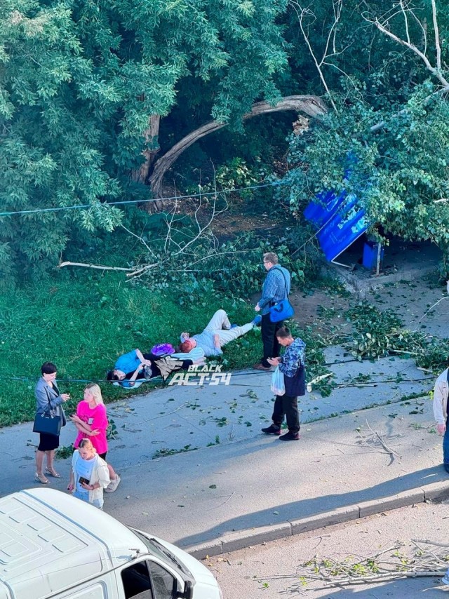Упавшее дерево придавило людей на остановке в Новосибирске. Пострадали 3 человека.