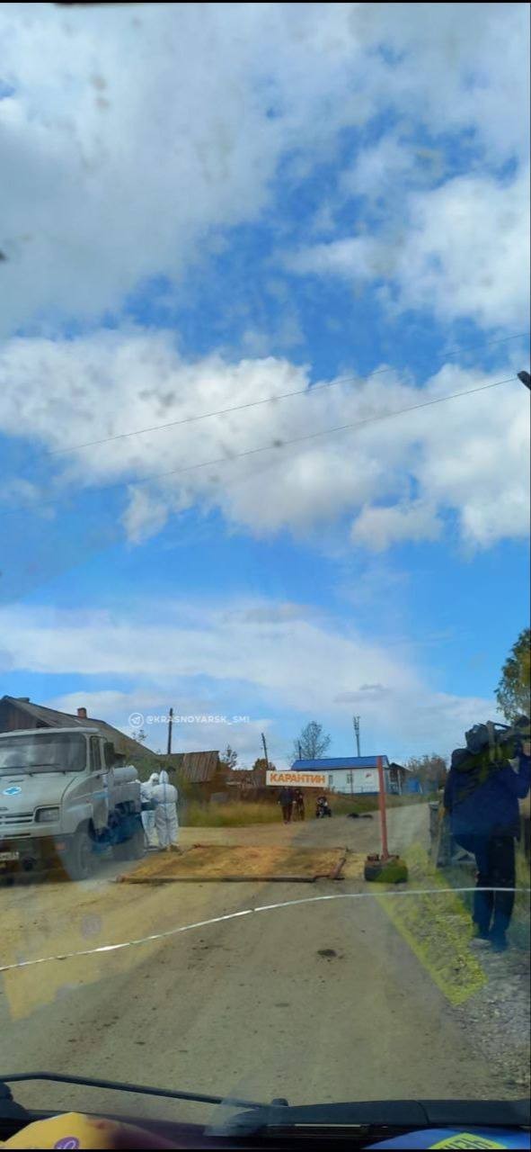 Карантин объявлен в красноярском поселке Первомайский из-за сибирской язвы