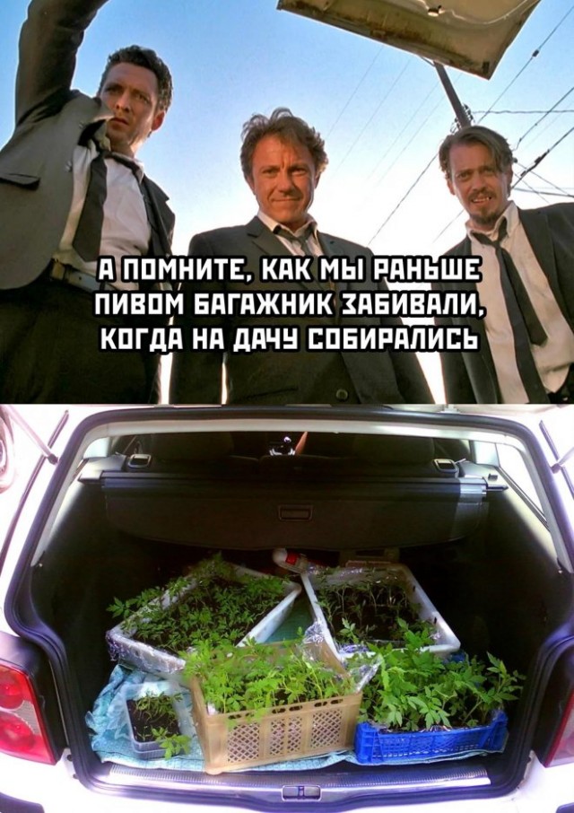 Веселые картинки в понедельник (29.09)