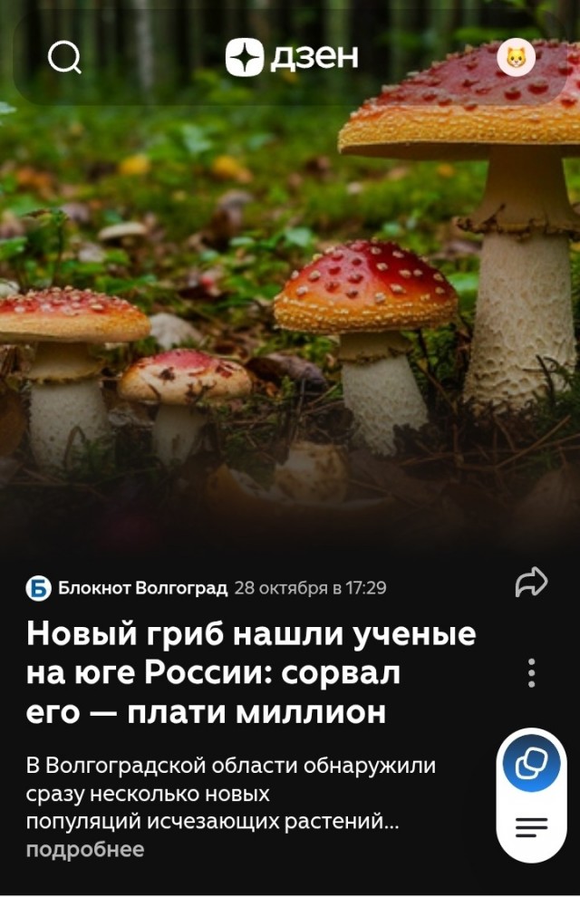 Новые новости..