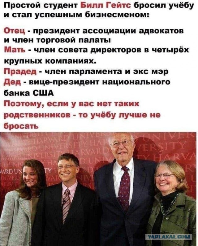 Картинки для деградации 79 (разной степени свежести)