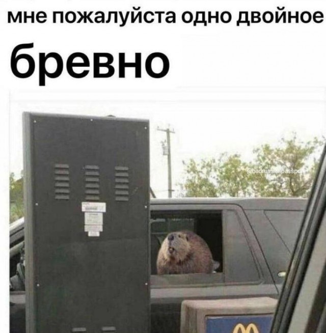 Картинки для деградации 105 (разной степени свежести)