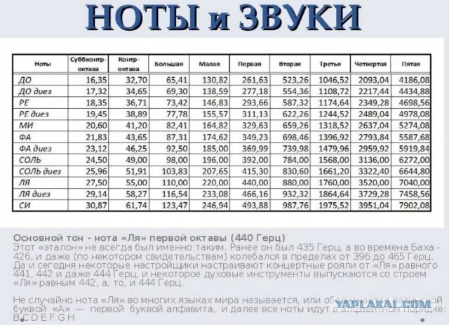 Про музыкантов, дирижеров и музыкальный слух