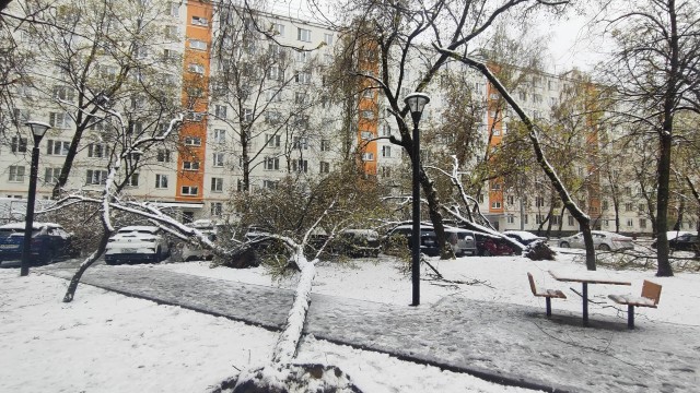 Утро в Москве