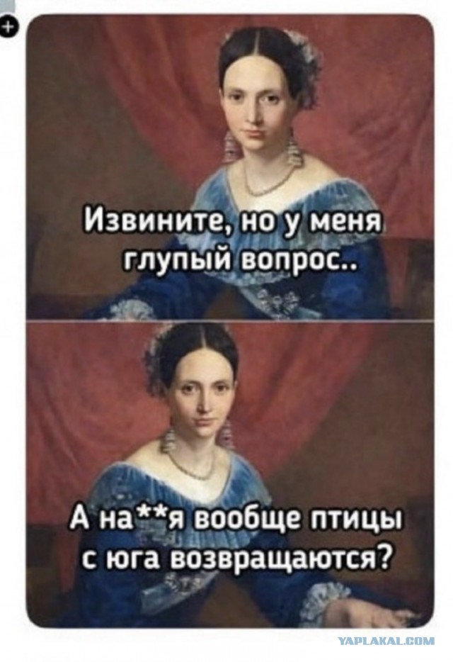 Так себе картинки 14.05.26