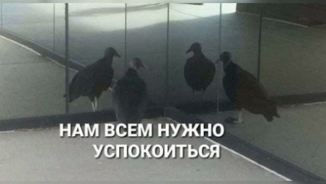 Картиночки, баянчики 01 августа
