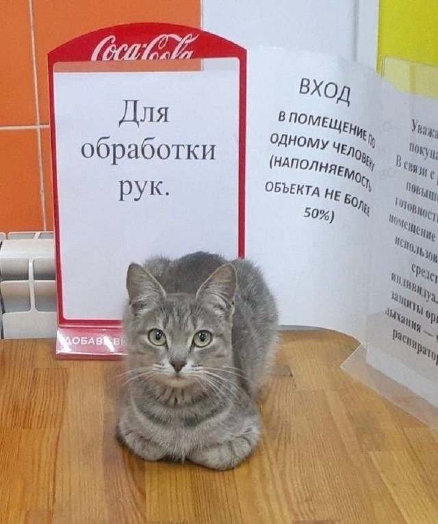 Так себе картинки 22.08.26