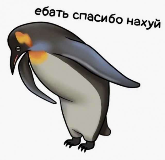 Самое первое сообщение, что сегодня пришло