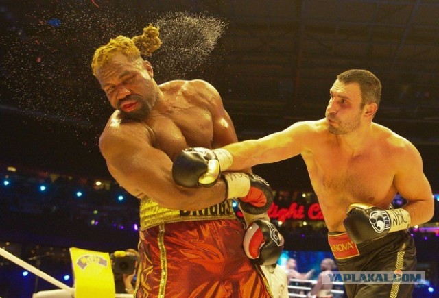 Правдивые факты, в которые трудно поверить