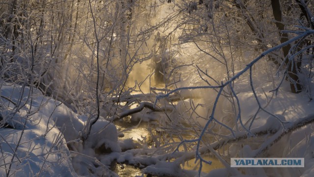 Ижевск, Ижевский пруд