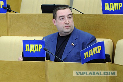 Депутат предложил заселять