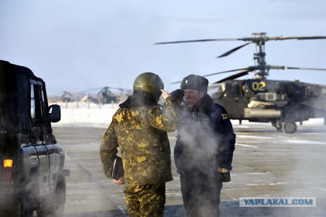 Боевые вертолеты Ка-52 на учениях в Амурской