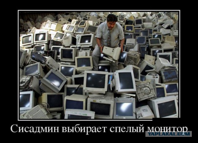 Пятничные  демотиваторы...