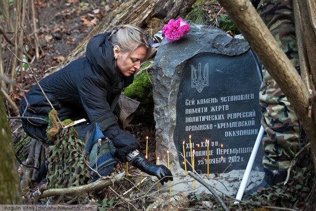Почему власть хочет уничтожить единственного
