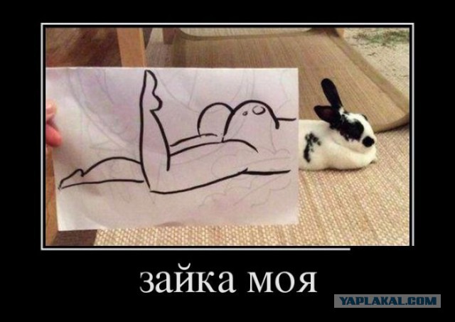 Немного позитива