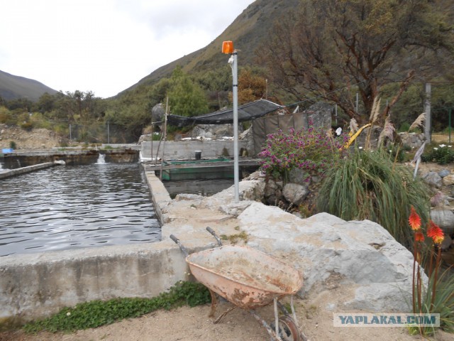 Рыбная ферма. Эквадор