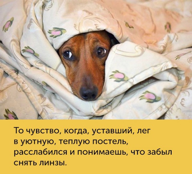 15 проблем, которые поймут только люди с плохим зрением