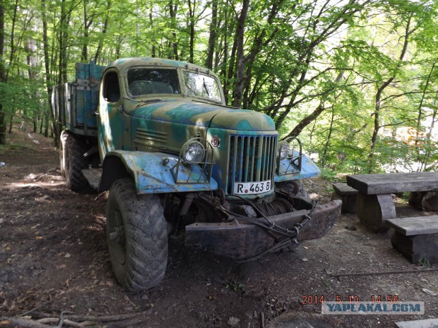 Неандерталь автомобильный