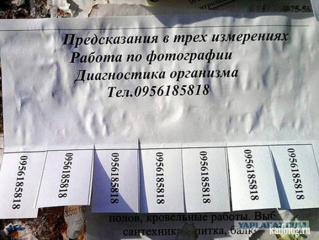Подборка "баянов" со всего интернета