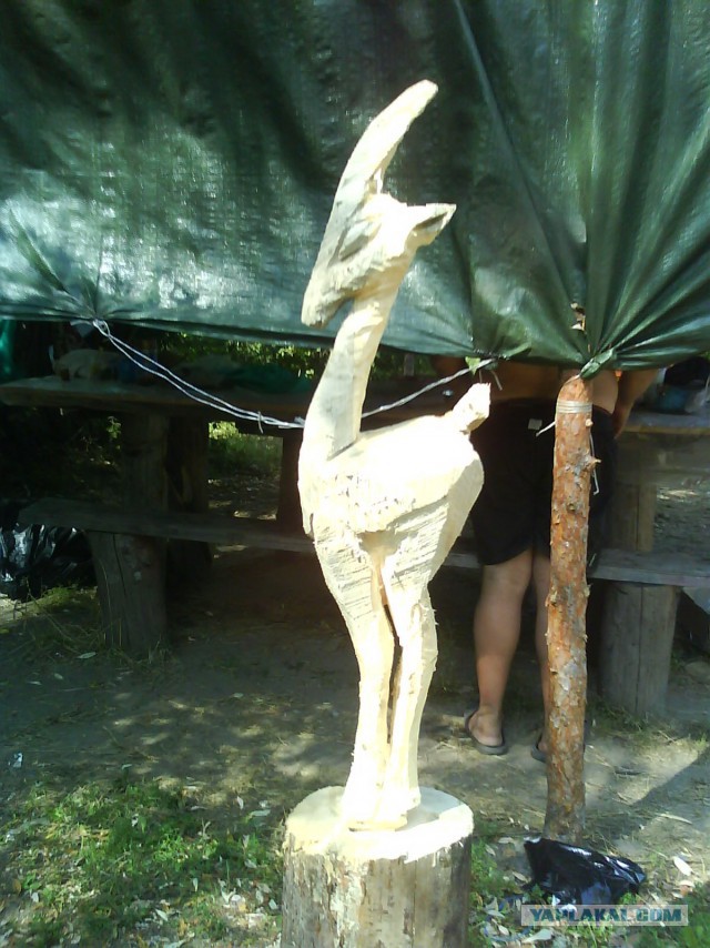 Настоящему Индейцу и в подвале – прерия!