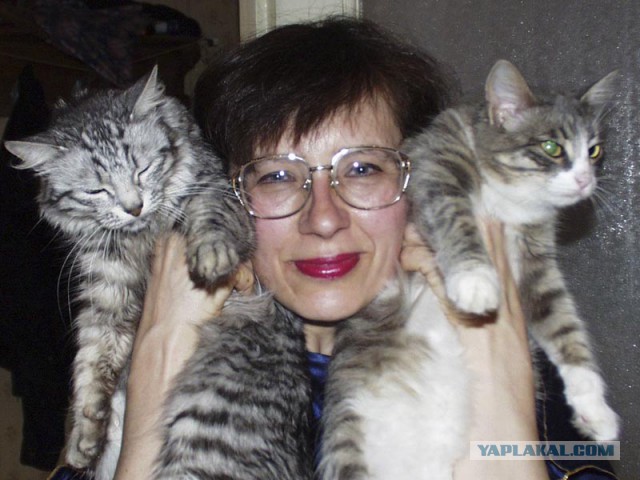 Ваши фотки котов на телефон