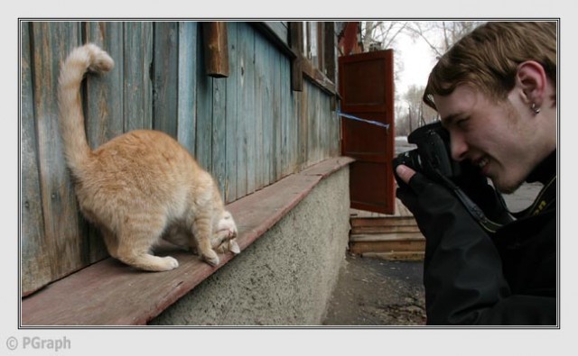 Котомет во вторник (11.12.2007)