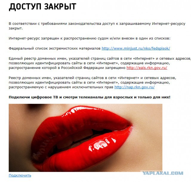 Pornhub подарил премиум-доступ всем россиянам для обхода блокировки Роскомнадзора
